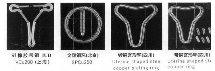 绿色世界的探索，最新环保种类图片大全与多样性之美